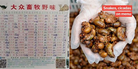 武汉美食基础培训