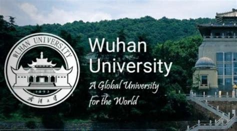 武汉雅思培训机构