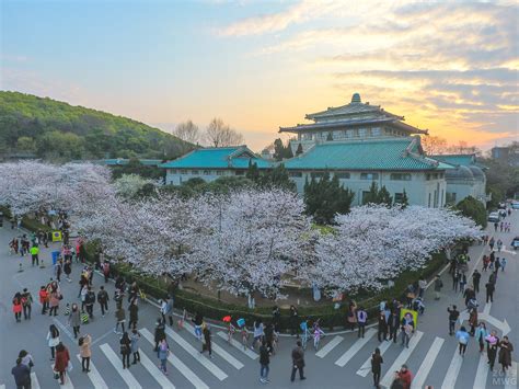武汉旅游英语培训_出国英语培训班_武汉沃尔得英语