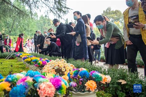 武汉法语培训课程_法语培训班_法语专业课程