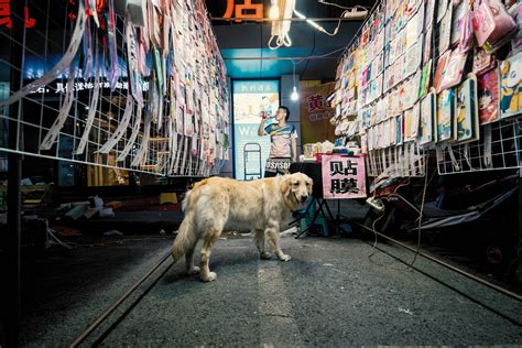 武汉夜宵大排档培训价格