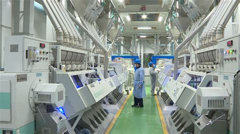 武汉小吃技术培训_饭团培训