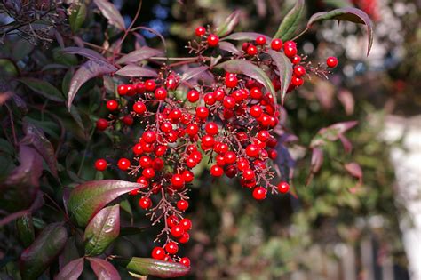 济南哪里日语培训专业