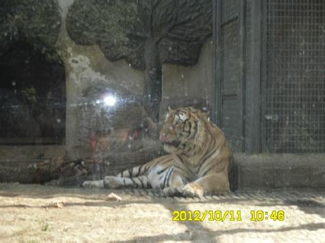 济南十大日语班