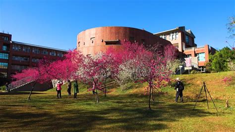 济南樱花日本留学机构