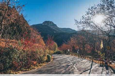 济南樱花日语小班学习