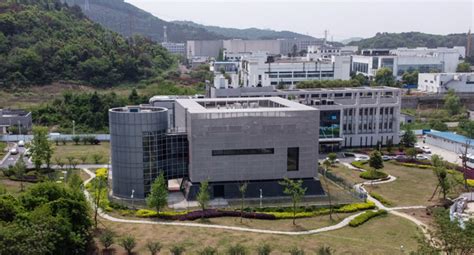 武汉影视视觉设计培训哪家好