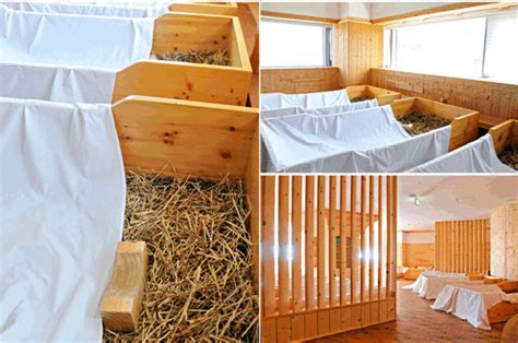 济南韩语留学专业辅导