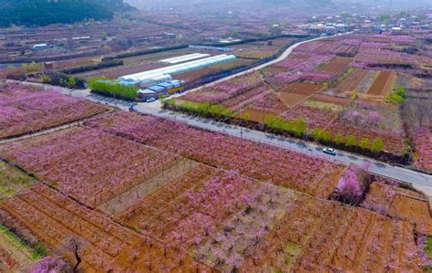 济南法语全能培训