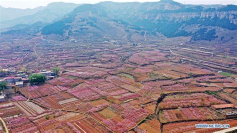 济南法语小班学习