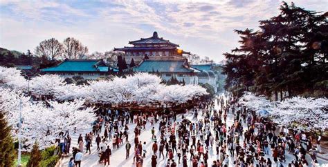 武汉学专业早餐到哪里好