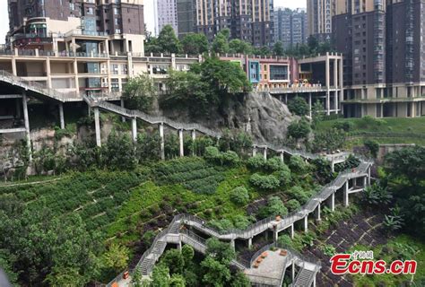 渝中区雅思IELTS培训