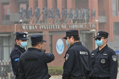 武汉学公安锅盔多少钱