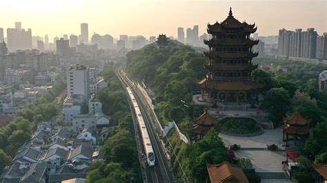 武汉驼背矫正培训哪个好