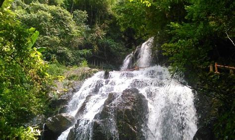 龙岩一级建造师金卡培训班
