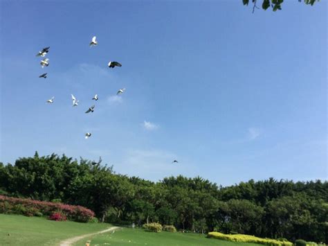 厦门国内英语夏令营