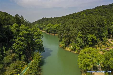 重庆暑假网页设计培训