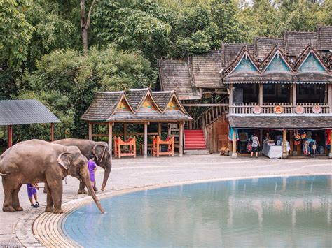 西双版纳景洪康复理疗师培训