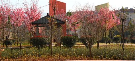 文山催乳师培训好品牌星月嫂催乳师职业班就业班