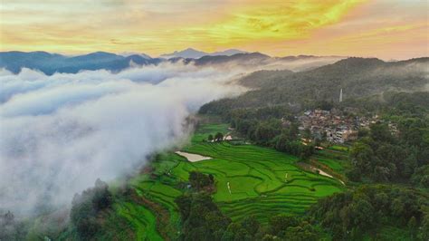 红河蒙自月嫂培训公司专业好品牌星月嫂母婴护理师培训班价格