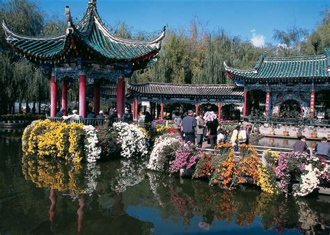 昆明小儿推拿培训公司专业好品牌星月嫂小儿推拿师培训班价格