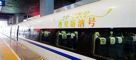 西双版纳哪里培训母婴护理师考证学技能正规机构月嫂培训班多少钱