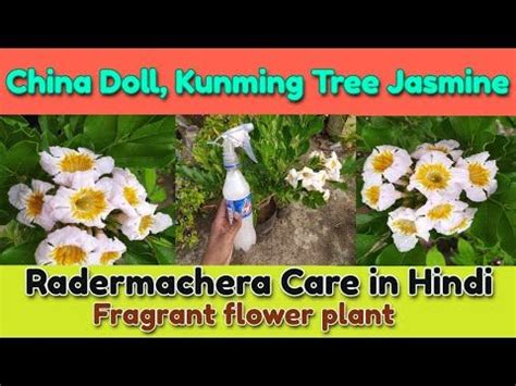 昆明母婴护理师培训学多久-星月嫂-云南母婴护理领航者