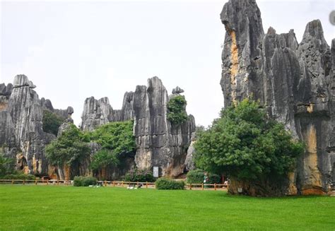 昆明产后恢复师培训课程-星月嫂-全线学员突破0