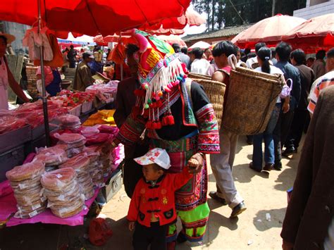 蒙自月嫂培训课程-星月嫂-全线学员突破0