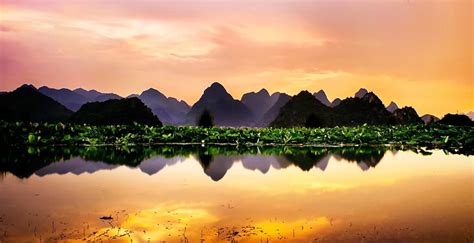 文山小儿推拿培训课程-星月嫂-全线学员突破0