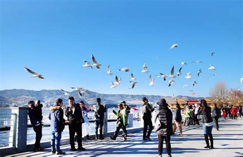 昆明家庭营养师培训-星月嫂-专注女性就业创业教育6年