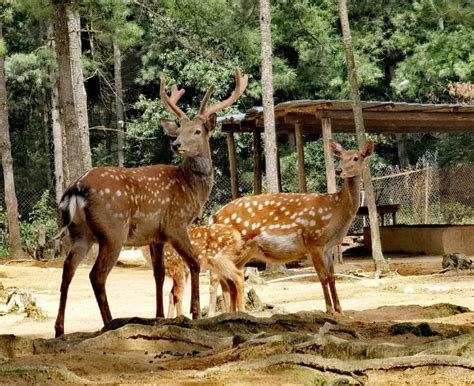 2018昆明育婴师培训-星月嫂-专注女性就业创业教育6年
