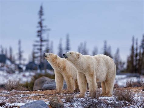 昆明产后恢复师培训班-星月嫂-全线学员突破0