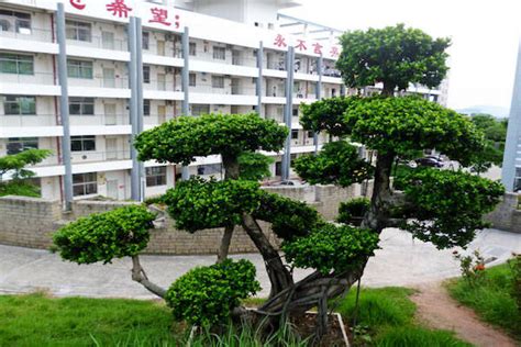 漳州初中教师考编教综培训班