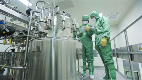 厦门语言发育障碍训练班