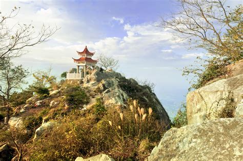 泉州哪有学做包子镘头