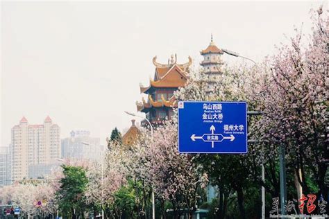 福州服装设计大专