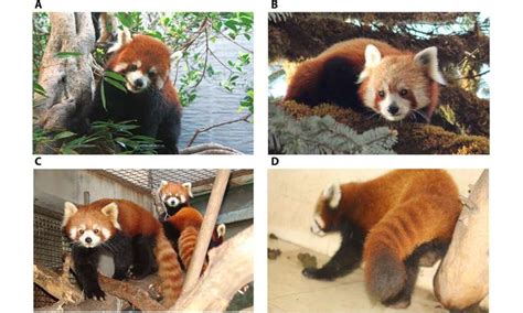 福州哪里有实战会计实务培训