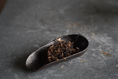 南平少儿编程培训机构推荐