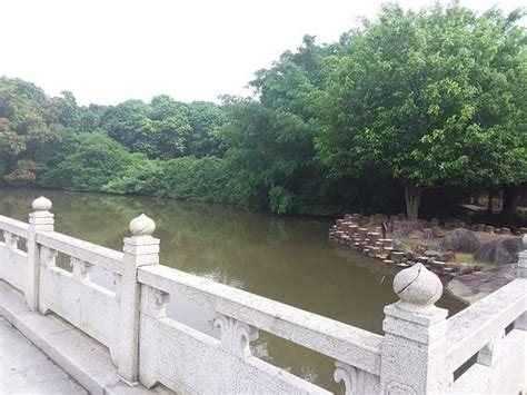 漳州中级经济师培训机构_【漳州优路教育】