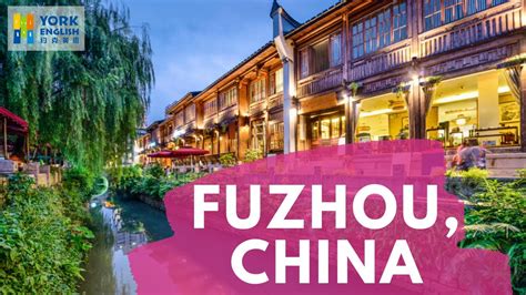 福州意大利语培训机构哪家好_一般价格多少