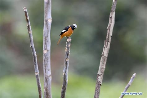 福州法语培训哪里