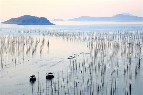 福州三大夏令营培训机构排行榜