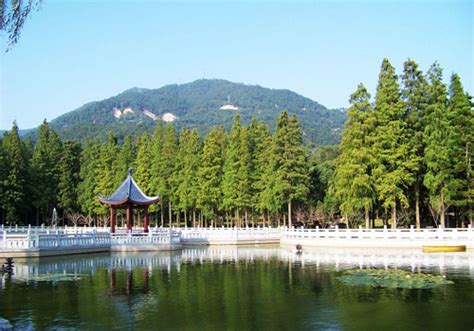 福州夏令营基地