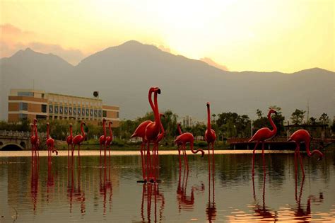 福州大学演讲口才培训中心多少钱