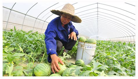 莆田成人英语培训费用