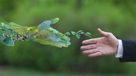 泉州培训新概念英语培训学校