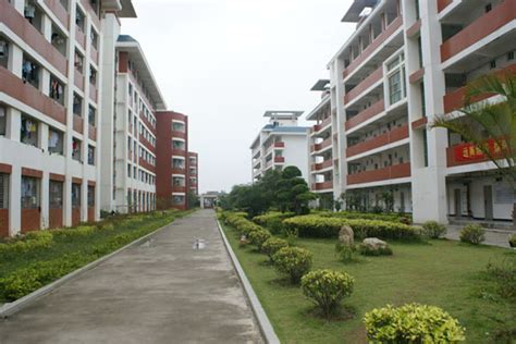 泉州SSAT大学生班