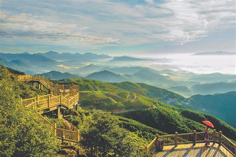 泉州哪里有入门SAT培训机构