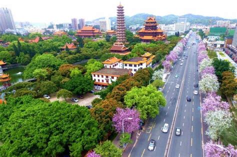 福州西班牙语培训班哪家好_报名